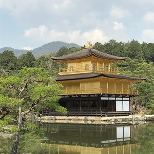 Meet your Posher, Javed